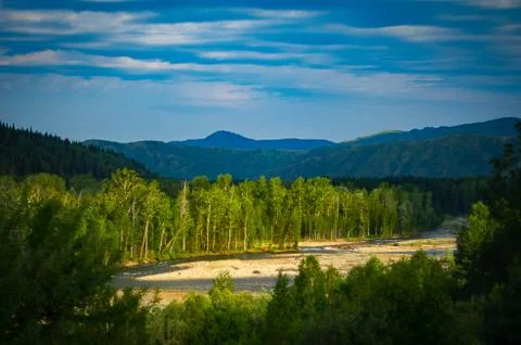 Mountain river and forest trees in the rays of rising sun, Altai Mountains, K Stock Photos