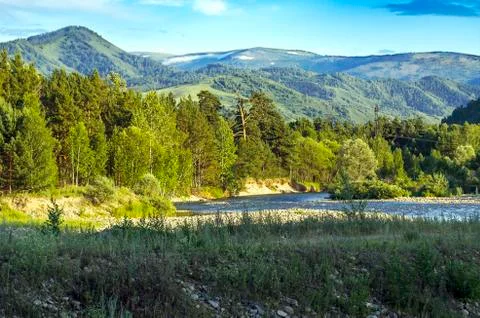 Mountain river and forest trees on the sunset, Altai Mountains, Kazakhstan. Stock Photos
