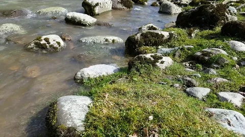 Mountain river and green shore in georgia Stock Footage