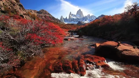 Mountain River and Mount Fitz Roy. Patagonia 스톡 동영상 88128074