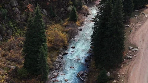Mountain River and Pine Forest Stock Footage 321292427