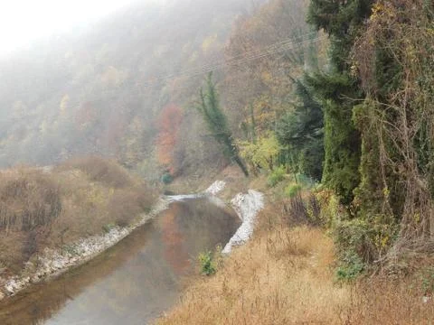 Mountain river and reflection of trees in it in the foggy autumn morning Stock Photos