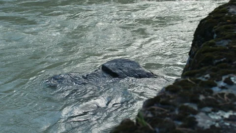 Mountain river and stone 스톡 동영상 204105361