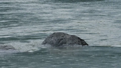 Mountain river and stone Stock Footage 204106910