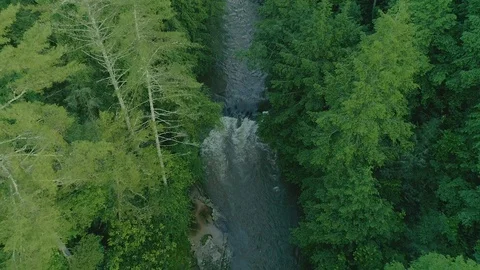 Mountain River and Tree Tops Aerial Video stock 109522609