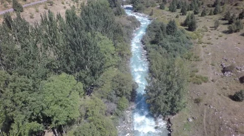 Mountain river and trees angularly Stock Footage 54581284