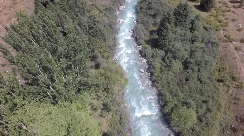 Mountain river and trees, flying backwards 動画素材 54581550