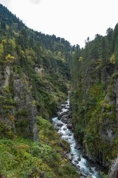 Mountain river and trees landscape. Kaunertaler Gletscher natural environment Stock Photos
