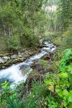 Mountain river and trees landscape. Kaunertaler Gletscher natural environment Stock Photos