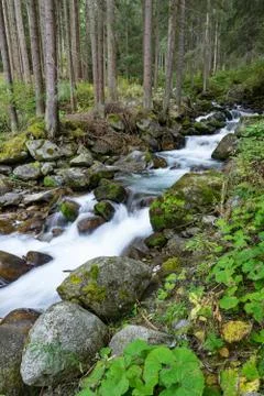 Mountain river and trees landscape. Kaunertaler Gletscher natural environment Stock Photos