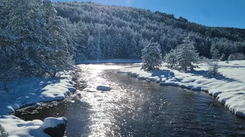Mountain River and Winter Landscape on Sunny Day, Snow Capped Forest and Valley Stock Footage 311838012
