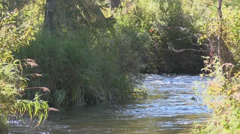 Mountain River Andza Stock Footage 67506239