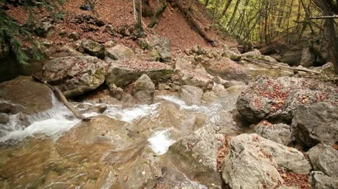 The mountain river in the autumn Stock Footage 9562146