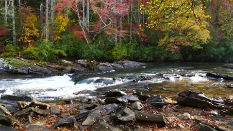 Mountain river  in autumn Stock-Footage 141951917