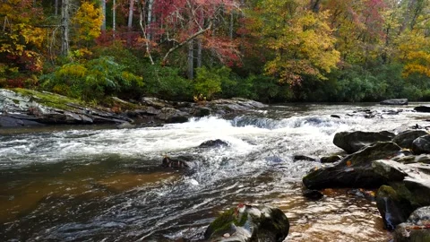 Mountain River in Autumn Stock Footage 141952300