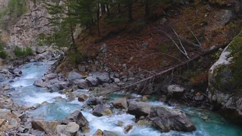 Mountain River in Autumn Forest, North Caucasus, Russia Stock Footage 320854986