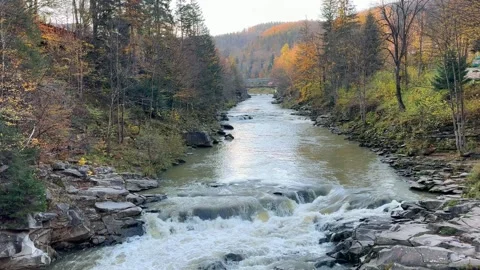 Mountain river in the autumn forest. View from the bridge. Video stock 254446136