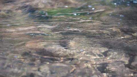 Mountain river. Autumn in the mountains. Stock Footage 171257997