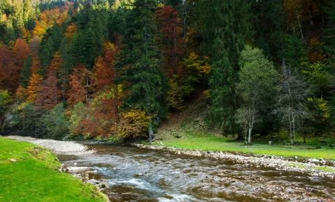 Mountain river in autumn. Stock Photos