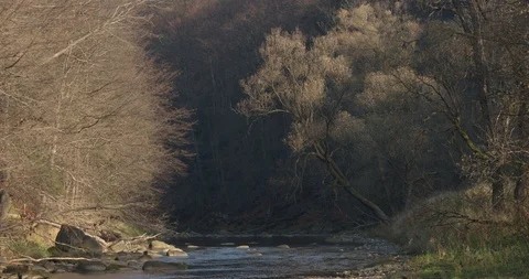 Mountain river in the autumn time in central Europe, 4k Stock Footage 121815209