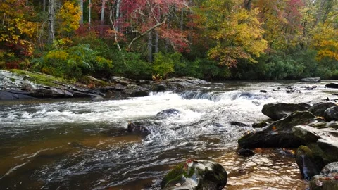 Mountain River Autumn1 Stock Footage 141952295