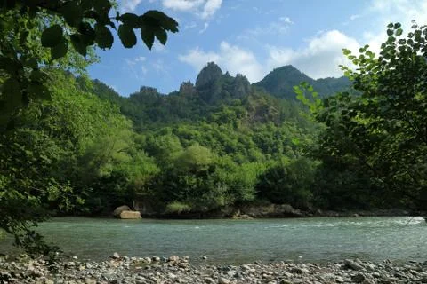 Mountain river in the background of the forest. In the background there is a Stock Photos
