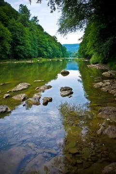 Mountain river in the background of the forest Stock Photos