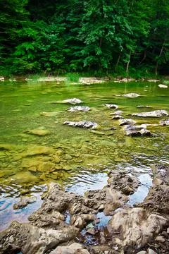 Mountain river in the background of the forest Stock Photos
