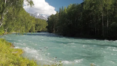Mountain river on the background of forests and mountains. 스톡 동영상 295374767