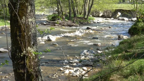 Mountain River Bed Landscape. Mountain Water Stream in the Forest  in 4K Stock Footage 88796887