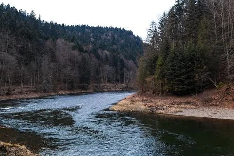 Mountain River Bend Flowing Through Forested Valley Stock-Fotos