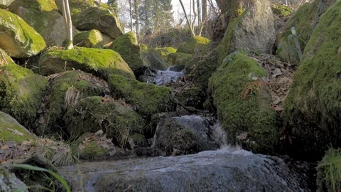 Mountain river between green rocks in slow motion Stock Footage 124495427