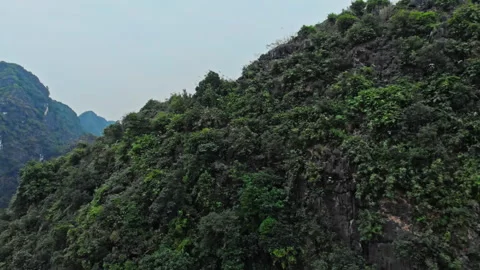 Mountain river between mountains in Ninh Binh National park, Vietnam Stock-Footage 235014673