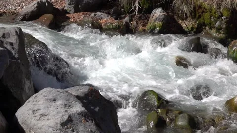 Mountain river between sheer cliffs . blue clear water of the river. Stock Footage 145115908