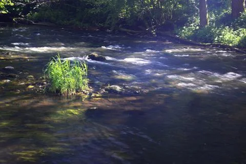 Mountain river between sheer cliffs . blue clear water of the river. Stock Photos