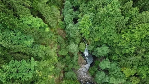 Mountain River From a Bird Flight Height. Stock-Footage 102310942