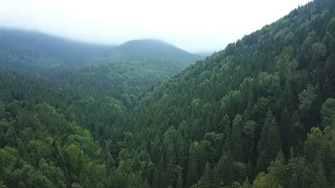 Mountain River From a Bird Flight Height. Stock Footage 102311736