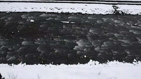Mountain river from a bird's eye view, snowy winter. Vidéo 101241501