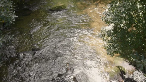 Mountain River-Blueridge-mountains Stock Footage 141487176