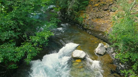 Mountain river bubbling in the forest canyon Stock Footage 63617534