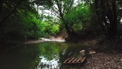 A mountain river with a calm current Stock Footage 169872503