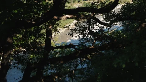 A mountain river can be seen through the trees. The view from the top. Stock Footage 107855389