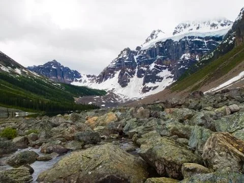 Mountain river in Canada, pristine nature Foto stock
