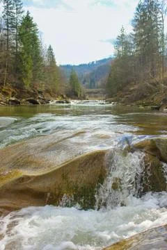 Mountain river in the Carpathians Stock Photos