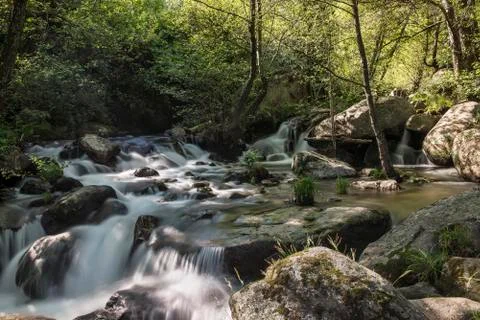 Mountain river with cascades Stock Photos