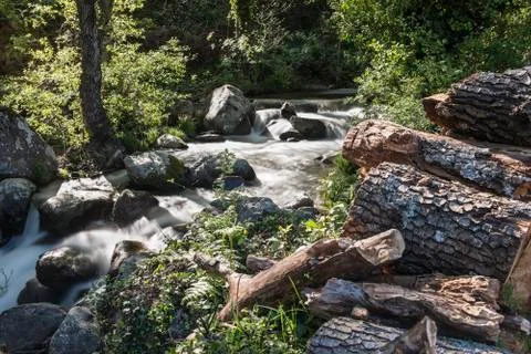 Mountain river with cascades Stock Photos