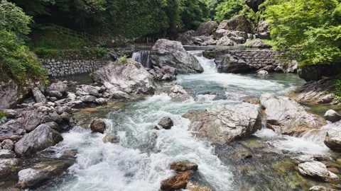 Mountain River Cascading Over Rocky Rapids Vidéo 345140403