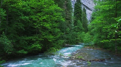 Mountain river in Caucasus mountain 스톡 동영상 65024874