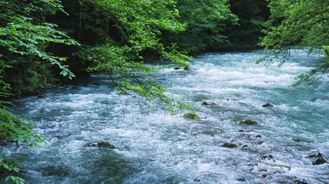 Mountain river in Caucasus mountain Stock Footage 65028185