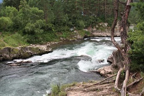 Mountain river of Chemal. Fotos Stock